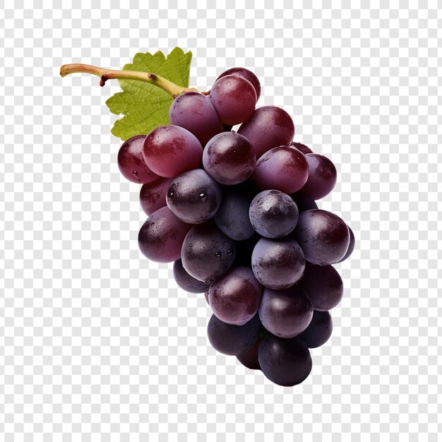PSD Плоды винограда zinfandel, изолированные на прозрачном фоне