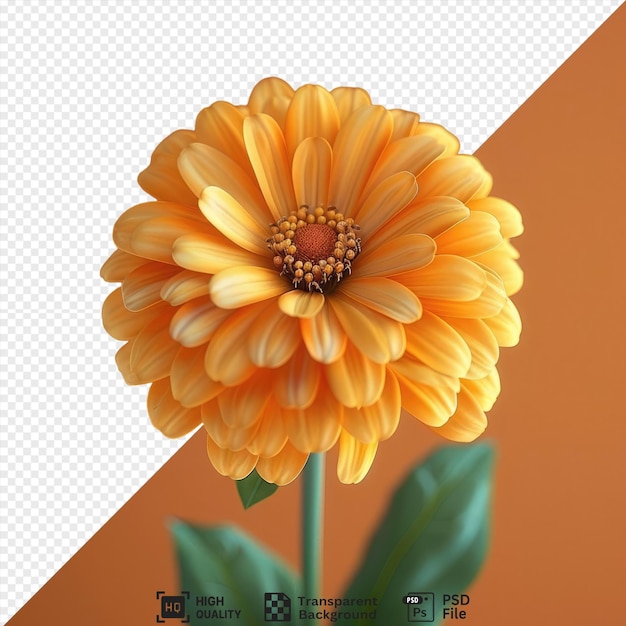PSD Цветок зиннии с желтыми и оранжевыми лепестками и зелеными листьями на оранжевом фоне png psd