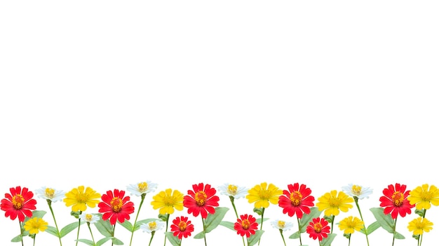 PSD 지니아 꽃은 은색, 색 및 노란색으로 투명한 배경 아래 배경에 분리되어 있습니다.