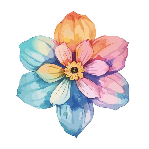 Zinnia waterverf tshirt ontwerp grafisch illustratie waterverf png psd