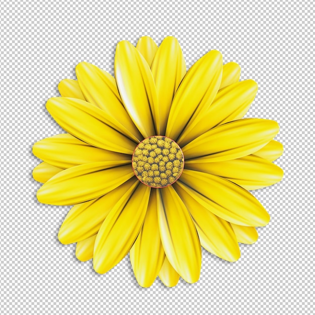 PSD Żółty kwiat na przezroczystym tle