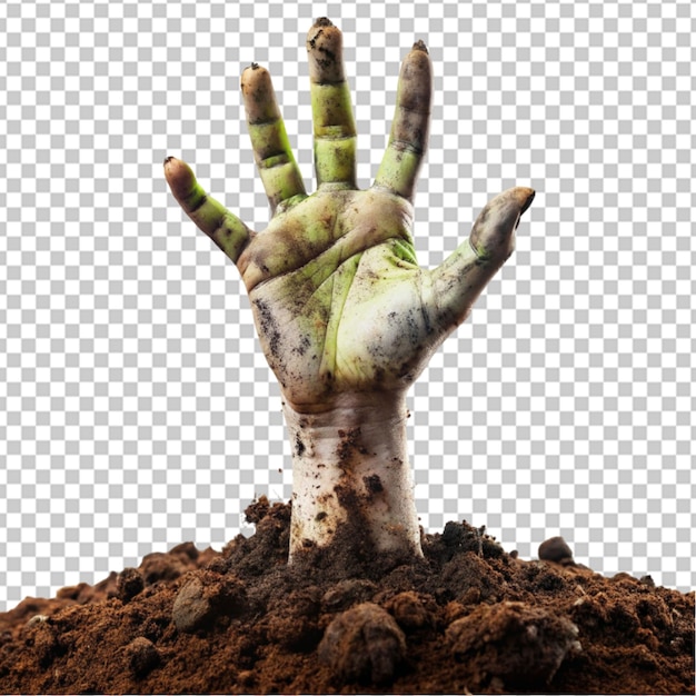 PSD zombie hand coming out of soil transparent background