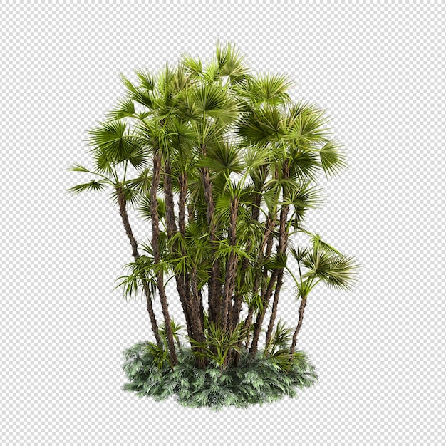 Zomer plant in 3d-rendering geïsoleerd