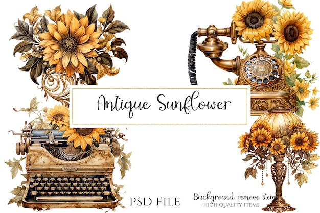 PSD zonnebloem antiek clipart png