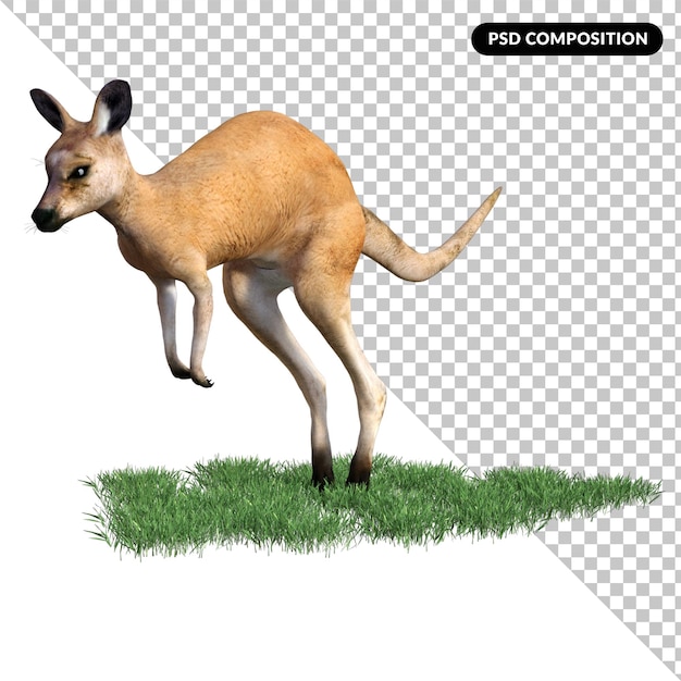 PSD zwierzę kangur na białym tle 3d