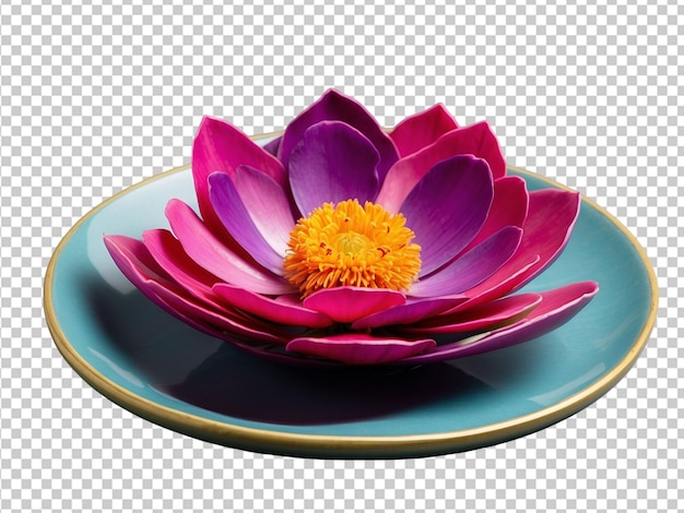 PSD Żywy kwiat kwitnie w środku talerza