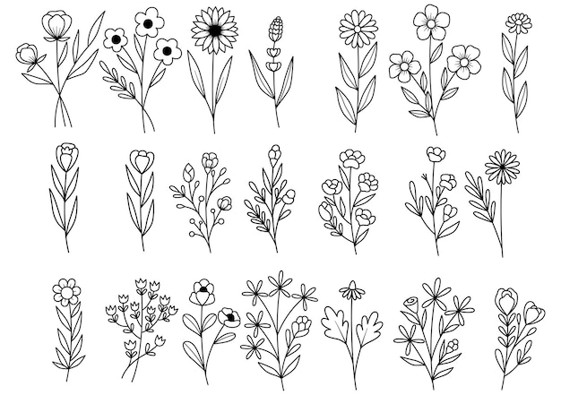 Vector 0001 hand drawn flowers doodle