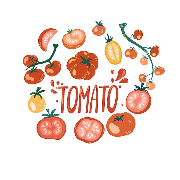 0031_tomatoe_circle