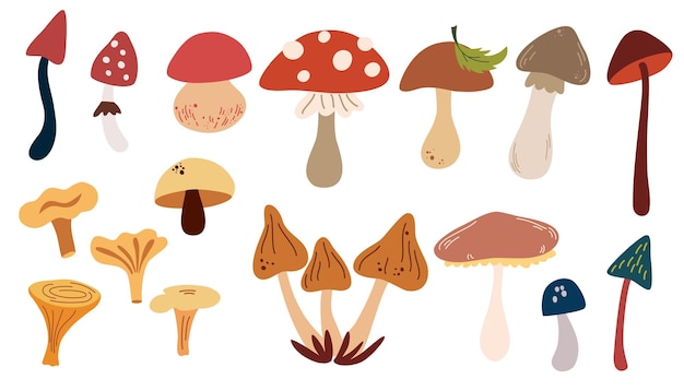 0301_mushrooms_set