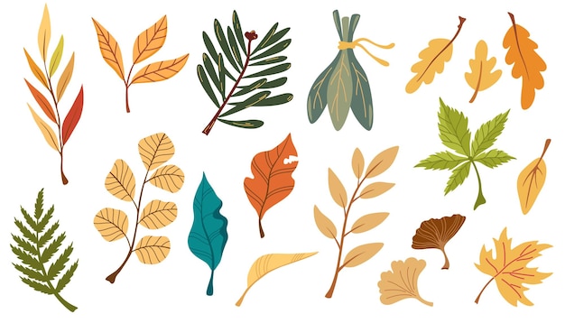 Vector 0303_leaves_set