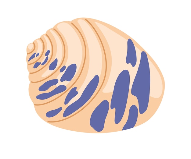 0366_seashell