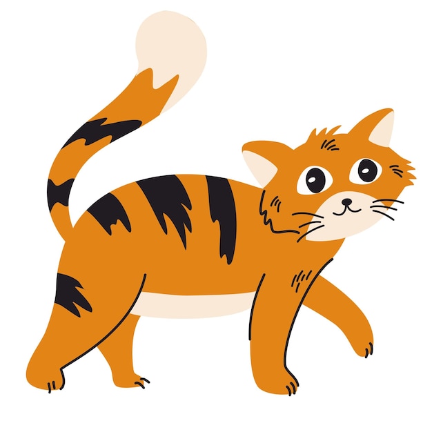 Vector 0478_cat