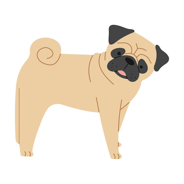 Vector 1 pug