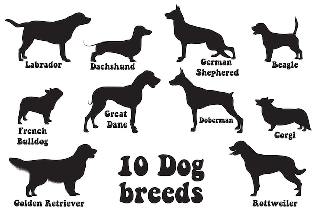 10 Dog Breeds Silhouette Collection