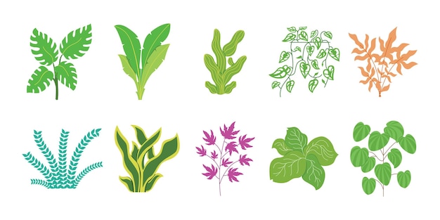 10 set plantenillustratie