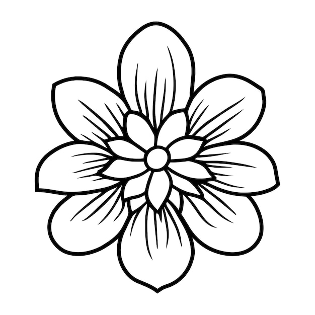 Vector 11 floral line art