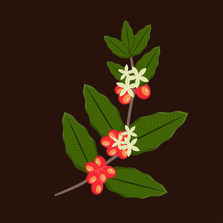 Vector 1124_00 30