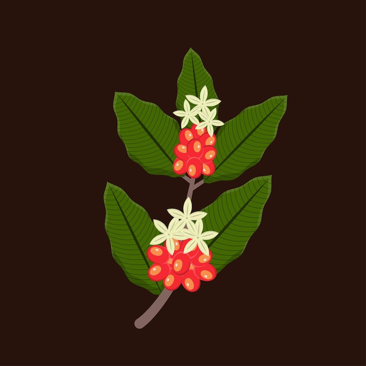 Vector 1124_00 33