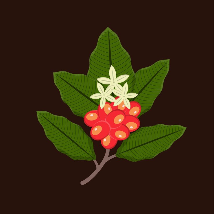 Vector 1124_00 34