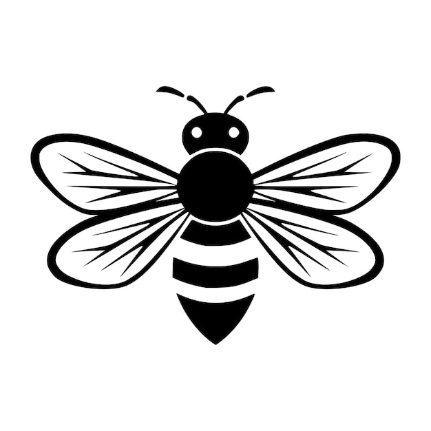 12 bee insect