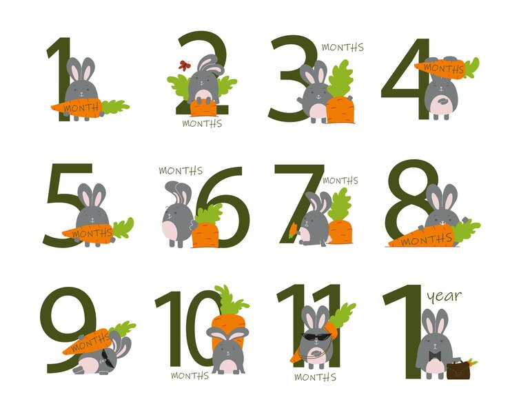 Vector 토끼와 함께한 아기의 12개월 생활