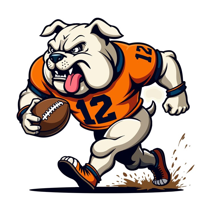 Vector 12 number bulldog american football player vector illustration