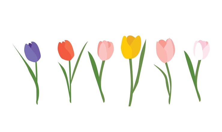 14 february 8 march banner design beautiful beauty birthday birthday present blossom botanic