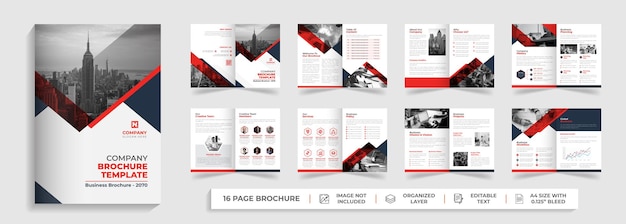 16 page back to school admission bi fold brochure template annual report flyer design