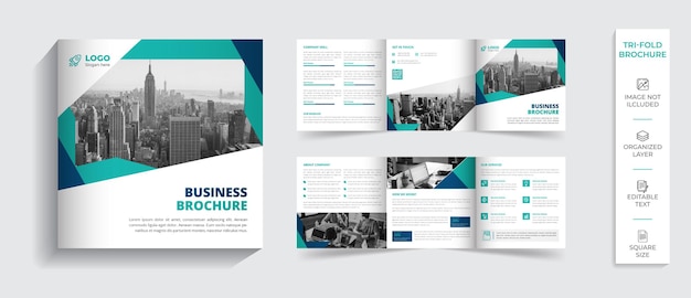 16 pagine torna all'istruzione scolastica ammissione bifold modello di brochure profilo aziendale design