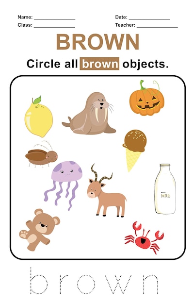 18 Circle all brown objects
