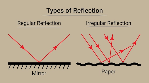 Vettore 2 tipi di riflessione riflessione regolare e irregolare