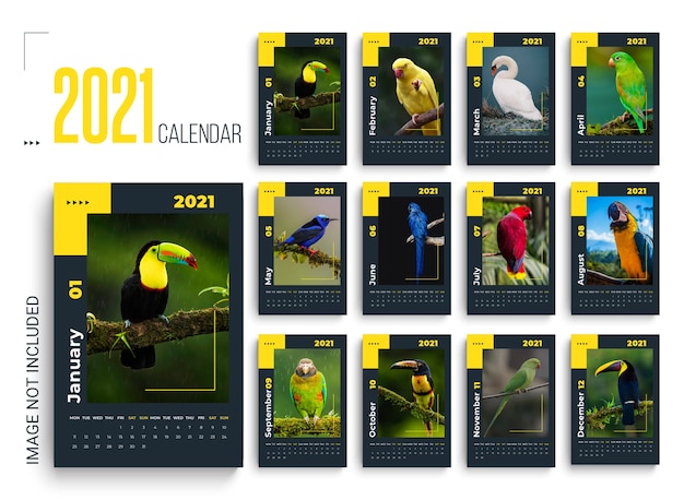 2021 wall calendar with parrots