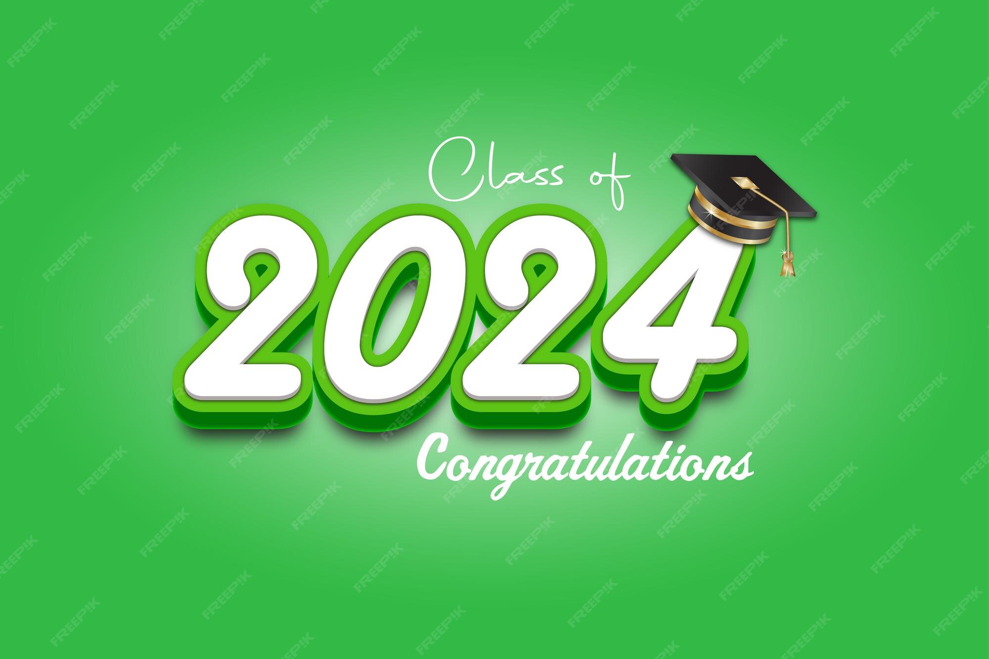 Premium Vector 2024 text effects design