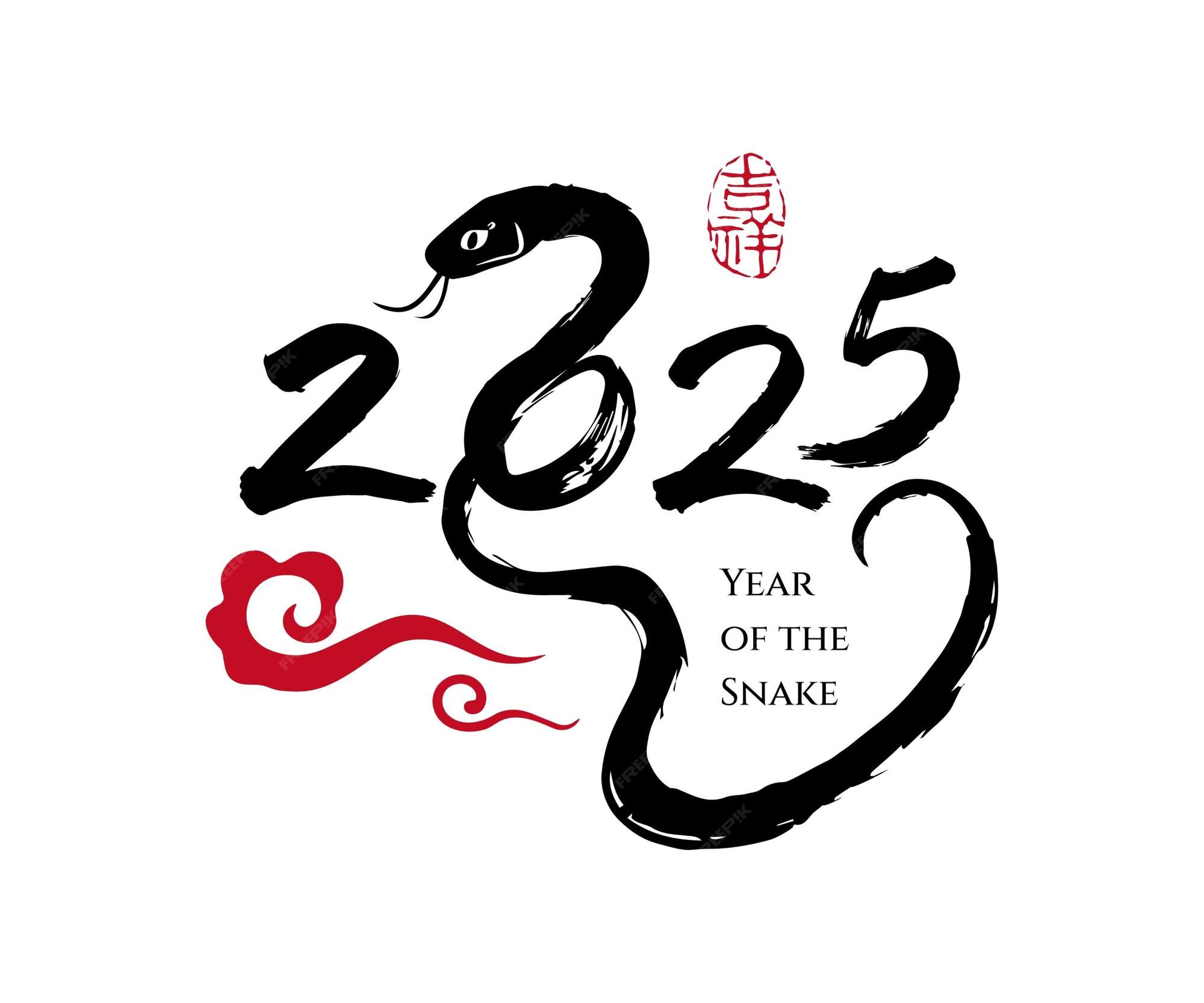 2025년 의 달력 해 중국 캘리그라피 예술, 중국어 봉인 번역, 행운의 해 프리미엄 벡터