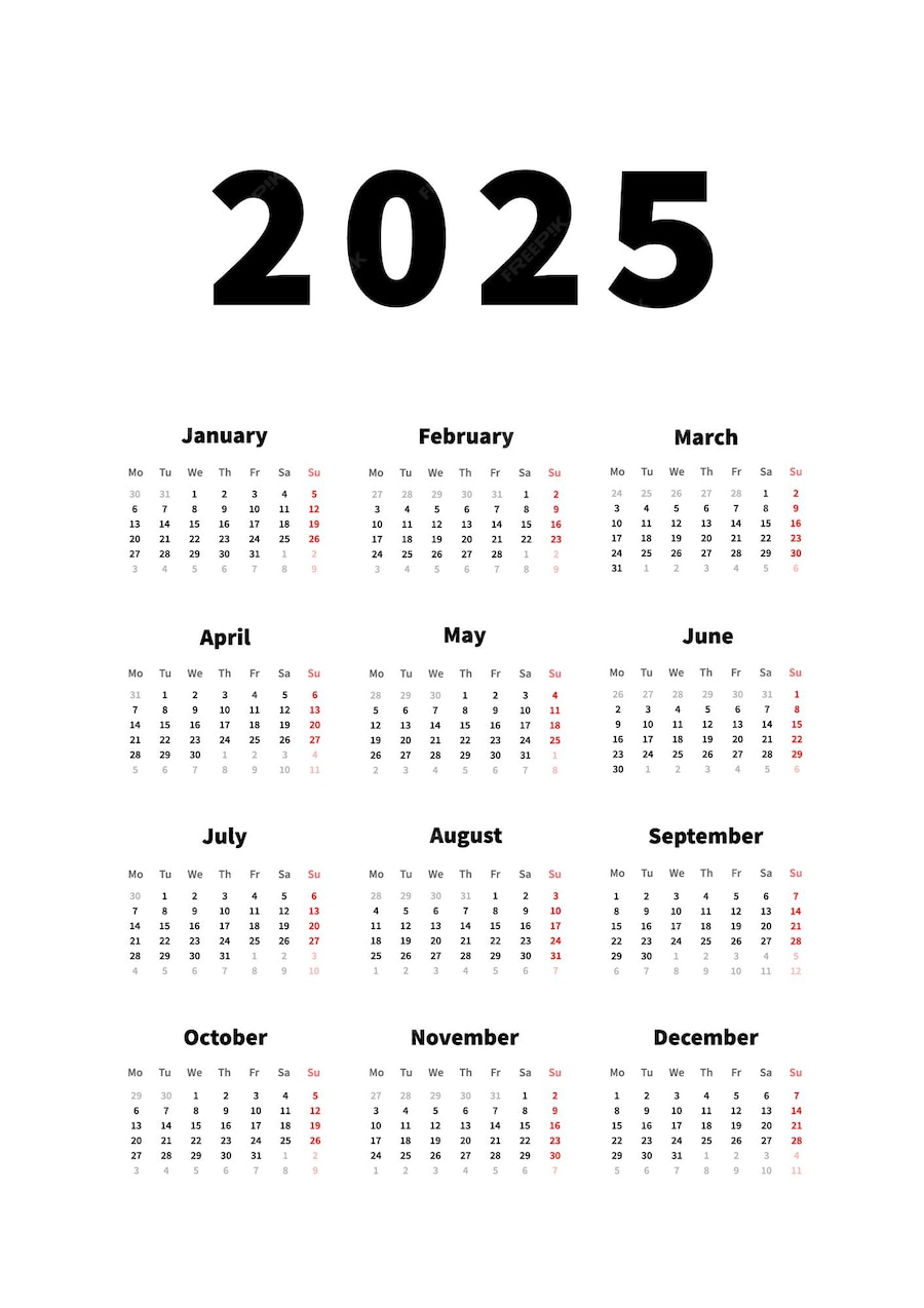 Premium Vector 2025 year simple vertical calendar in english language
