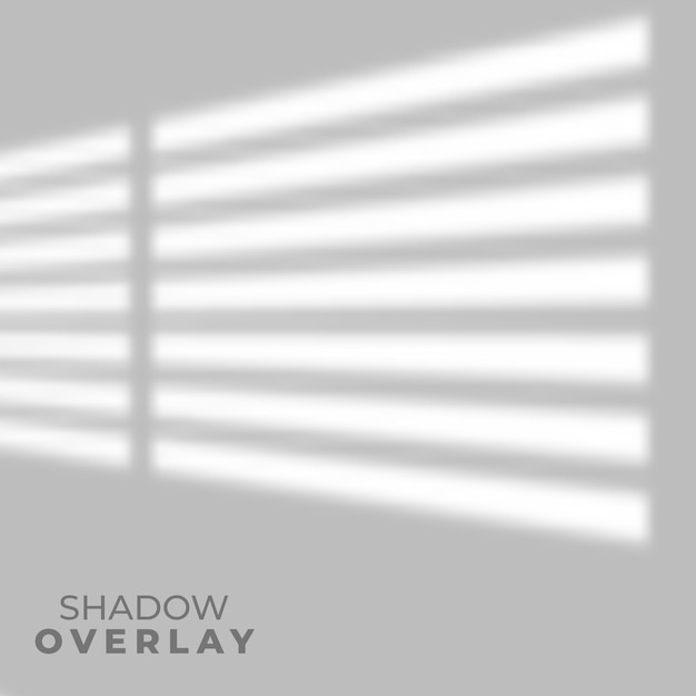 Vector 295. shadow overlay effect of room window .