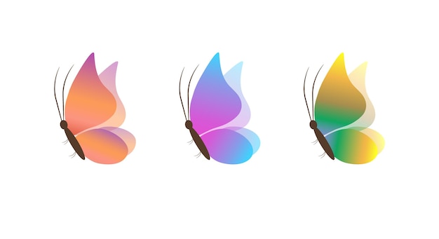 3 Colorful Butterfly