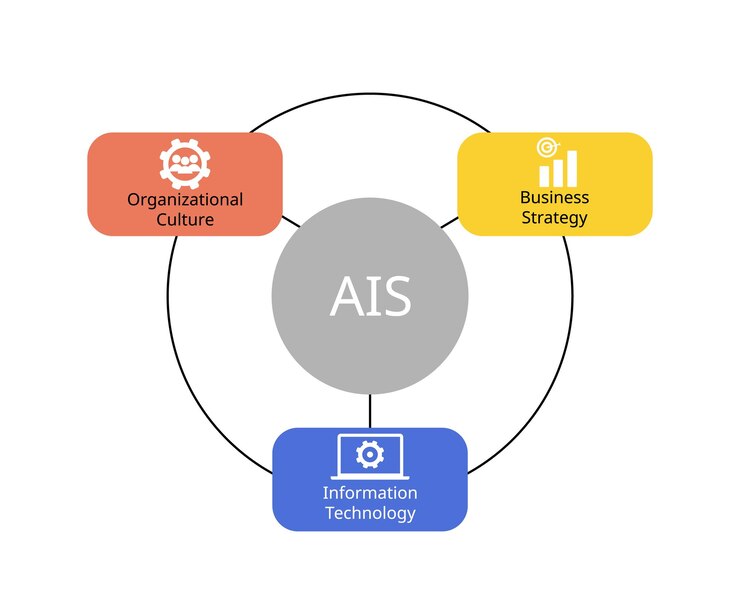 Vector 3 dimensions of accounting information systems include organizational culture business strategy