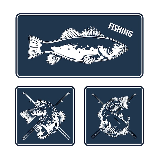 Vector 3 fishing badge design set for print