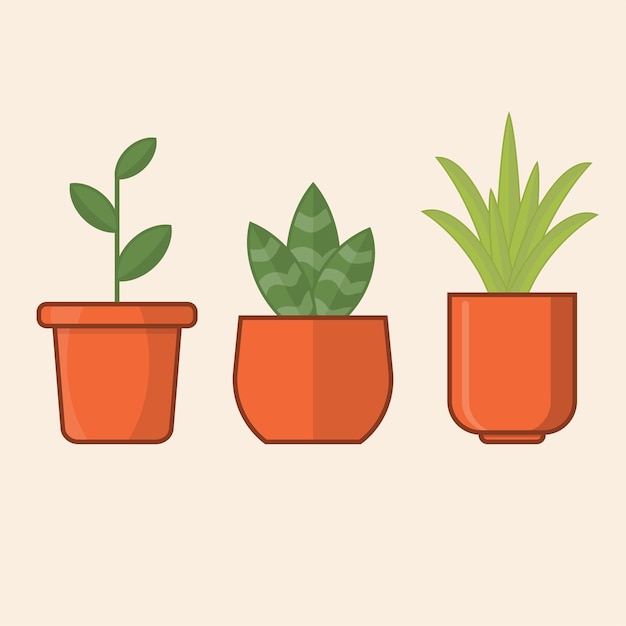 3 green plants in orange pots vector icon set illustration flat design