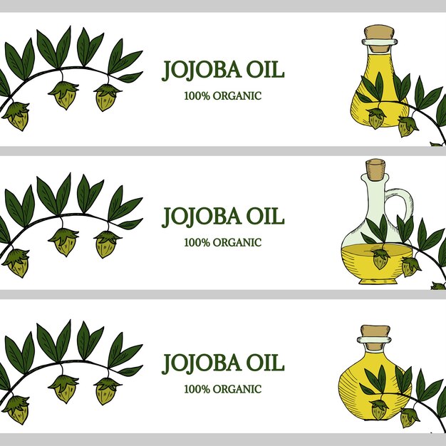 3 horizontal banners jojoba oil in color