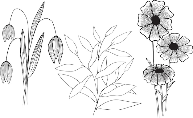 3 line flowers