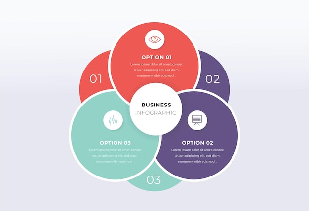 Vector 3 option circle infographic