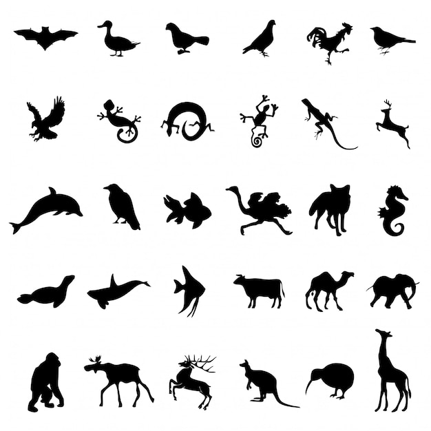 30 Animal Birds Reptile Silhouettes