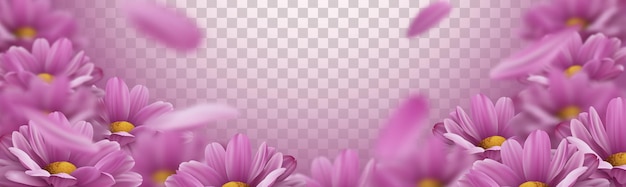 3D-achtergrond met realistische roze chrysantenbloemen en vallende bloemblaadjes Vectorillustratie