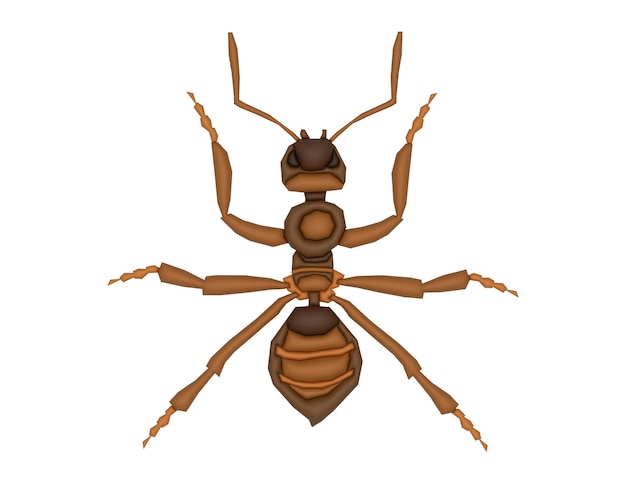 Vector 3d ant