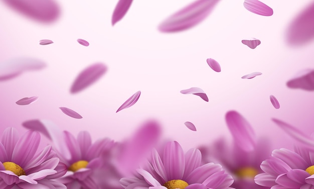 3d background with realistic pink chrysanthemum flowers and falling petals Vector illustration