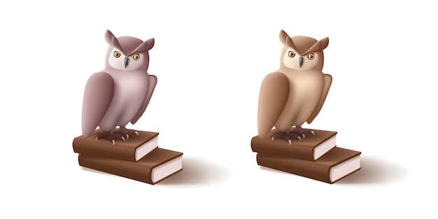 Vector 3d brown owl illustration standing on books college or school education icon