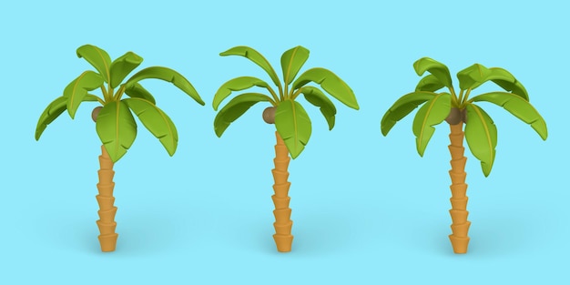 3D Cute cartoon tropische palmboom Realistische jungle boom op blauwe achtergrond Zomer object Vector illustratie