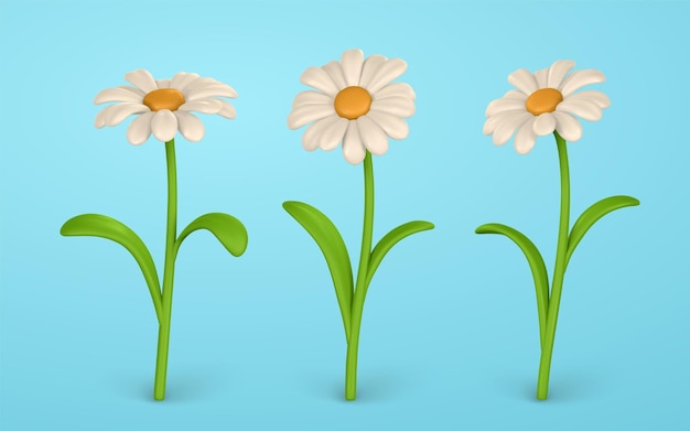 3D Cute colorful daisy flower Chamomile in cartoon style Vector illustration